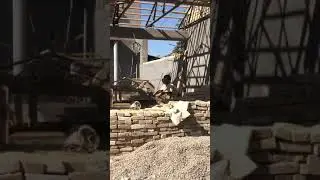 никалай гишт