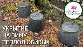 ЗАКРЫВАЕМ СЕЗОН.  ВСЕ ЛИ УКРЫЛИ НА ЗИМУ?