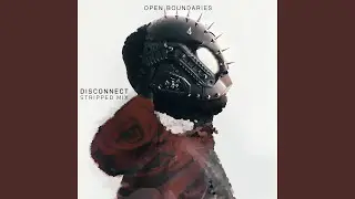 Disconnect (Stripped Mix)