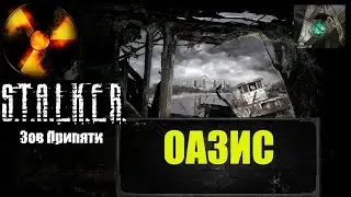 Оазис. Доступное объяснение, как его найти. S.T.A.L.K.E.R. Зов Припяти
