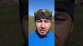 Телки пристали