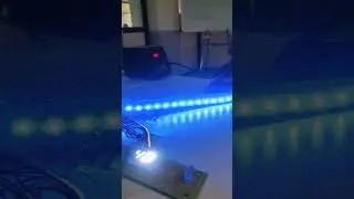 LED light changing #8051 #8051microcontroller #LED #rgbled #electroniclearning #demo #electronicdemo
