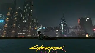 Ive got WAY TOO MANY HOURS in CYBERPUNK 2077...