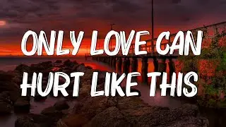 Only Love Can Hurt Like This - Paloma Faith (Lyrics)