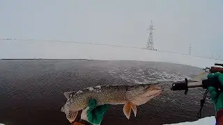 ОФИГЕТЬ КАКАЯ РЫБА ТУТ КЛЮЁТ! Рыбалка в полынье