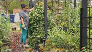 This raised bed cleanup was long overdue 🙄So satisfying!