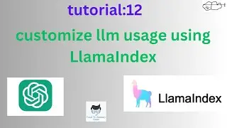 customize LLM usage using LlamaIndex|Tutorial:12