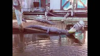 Adventure landing in winter. Jacksonville Florida