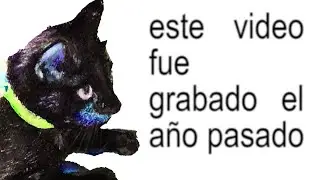 ME TARDÉ 1 AÑO en PUBLICAR ESTO