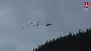 Tevbe ve Yağmur duasını birde böyle dinleyin...