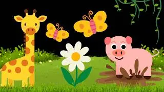 Baby Sensory Video – Newborn Visual Stimulation – Sensory Videos for Babies - Tummy Time 