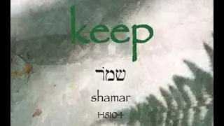 What Does KEEP Mean??? (Shamar/Tereo)