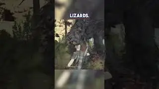 Dragons Dogma 2 Day 5 #gaming #dragonsdogma2 #gamerecap