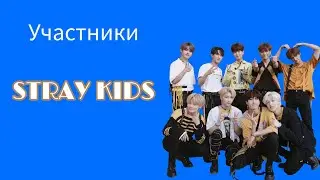 УЧАСТНИКИ STRAY KIDS/STRAY KIDS MEMBERS