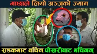 अञ्जु उराउको मृत्युबारे खुल्यो रहस्य, हेर्नुहोस पुरा नालिबेली ||| MY ONLINE TV