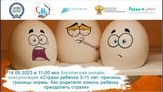 14.06.23 Страхи ребенка 3-11 лет: причины, границы нормы. Как родителю помочь ребёнку их преодолеть