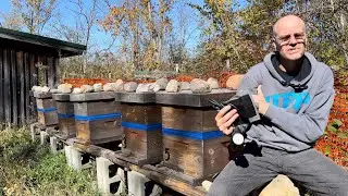 How Do You Check if Your Colony is Alive During Winter?Odd Piece of Equipment For Those Cold Winters