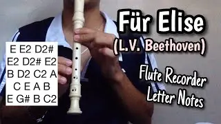 Fur Elise (Beethoven) - Flute Recorder Easy Letter Notes / Flute Chords