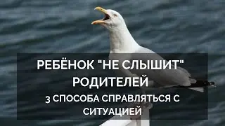 Ребёнок не слышит просьбы. 3 способа справляться с ситуацией