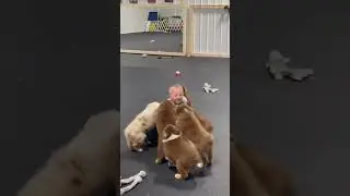 #shortsvideo