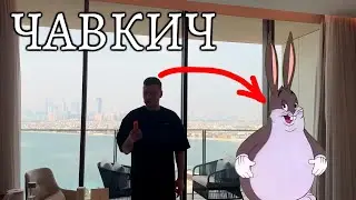Папич вышел на связь, но забыл вытащить морковку из рта!