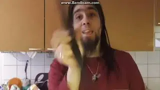 Niilo22 ikkunapyyhin remix biisi