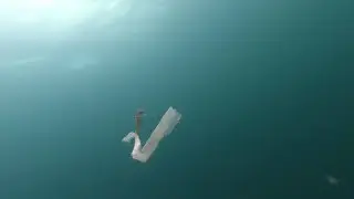 Одно неловкое движение и ВСЁ! Подводная охота
