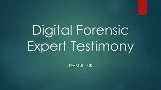 Digital Forensic Expert Testimony