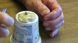 Remove skin tags