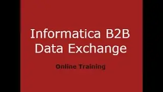 Informatica B2B Data Exchange Training Demo Video | Informatica B2B DX Console Online Course - GOT