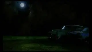 Big Fish - Wolf