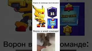 Ворон в моей команде: #brawlstars #бравлстарс #мем #хочуврек