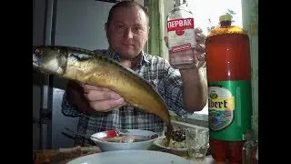I drink vodka and beer with smoked fish...
