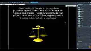 Модные диеты