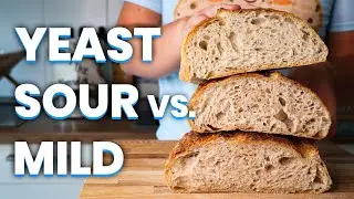 Sourdough Bread - is it really worth the effort?