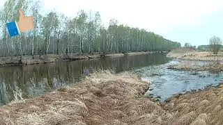 Река и лес!