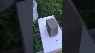 Подсадка неплодной матки