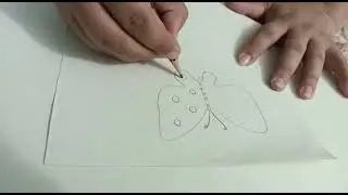 how to draw butterfly