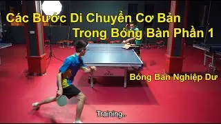 Các Bước Di Chuyển Cơ Bản Trong Bóng Bàn ( Phần 1 ) // Bóng Bàn Nghiệp Dư - BBND
