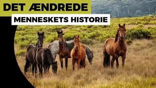 🔥Det ændrede menneskets historie 🔥