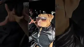 justice for Sidhu Moosewala  justice for Sidhu moose wala #shorts #trending #viral #sidhumoosewala