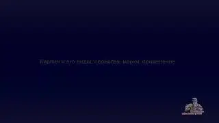 Строительный кирпич и его виды, свойства,марки, применение...