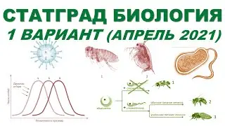 СТАТГРАД БИОЛОГИЯ | 1 вариант | Апрель 2021