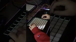 Mr. Beast Phonk Remix On Launchpad 