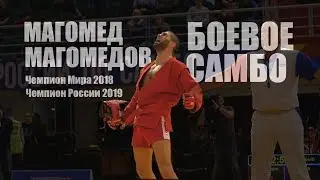МАГОМЕД МАГОМЕДОВ 2019 / БОЕВОЕ САМБО