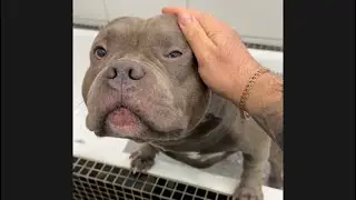 Воспалился глаз 🥺