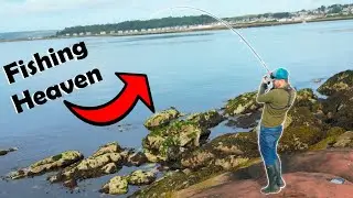 A Fish Every Cast! The BEST Pollock Fishing I've Ever Had - West Coast of Scotland