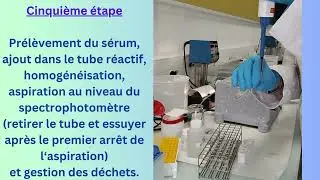 Vidéo expliquant la procédure à suivre pour déterminer la CAC d'une enzyme.