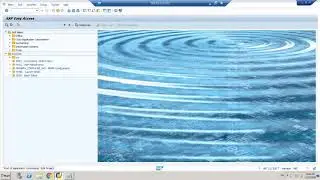 SAP GRC | GRC AC Config Parameters | GRC Access Control |