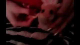 HAMSTER CONFRONTING MEN WHO CHEAT